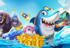 星空全站客户端