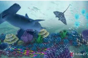 星空全站客户端